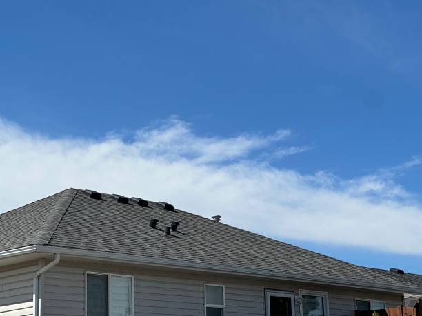 Best Roof Ventilation Installation  in Traverse City, MI